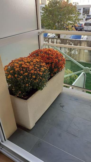 Appt Centre Ville "Parc Olympe De Gouges" Avec Garage Annemasse Εξωτερικό φωτογραφία